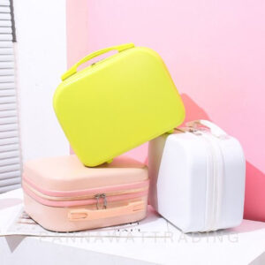 hand carry luggage
