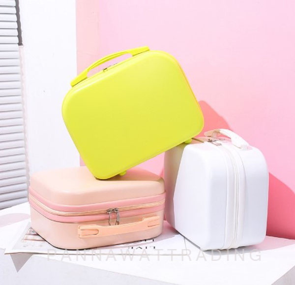 hand carry luggage