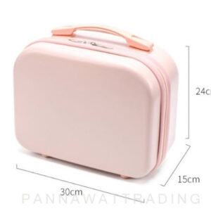 hand carry luggage