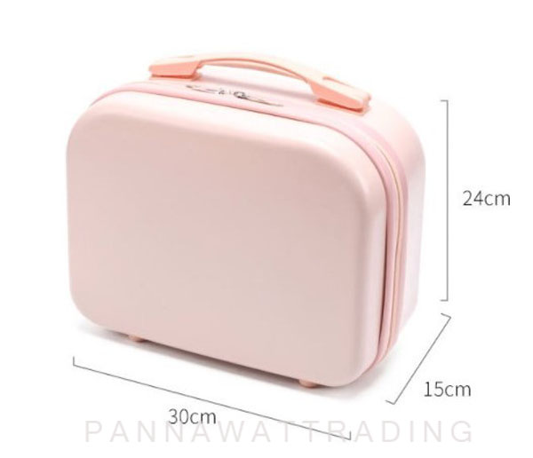 hand carry luggage