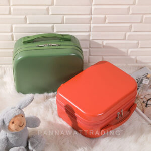 hand carry luggage