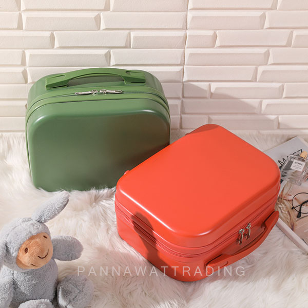hand carry luggage