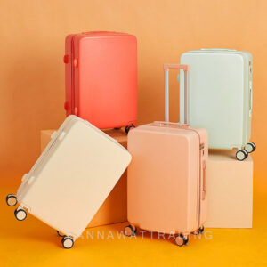 24"luggage