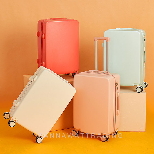 24"luggage