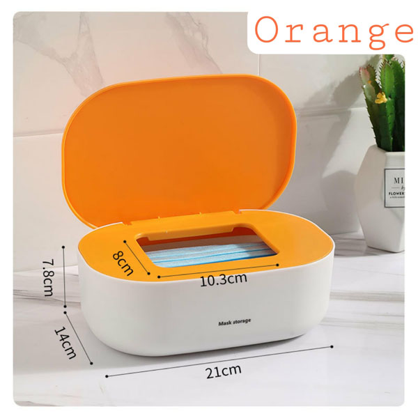 mask storage box